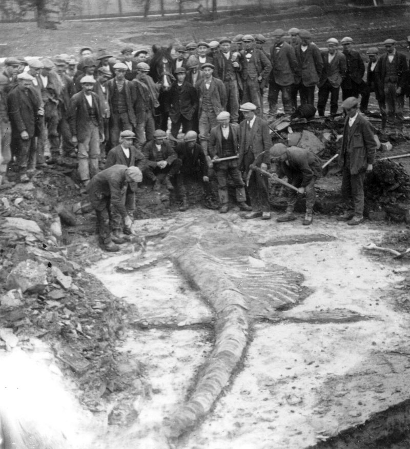 Harbury Quarry and lchthyosaur - 1928 WoW